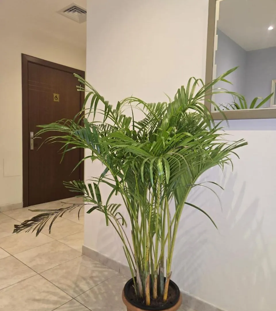 Al Raya Hotel Apartments Dubai